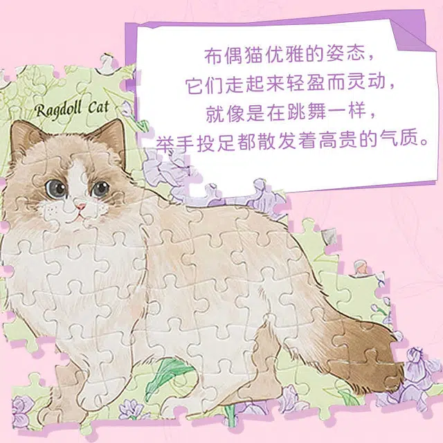 1000pcs 1000