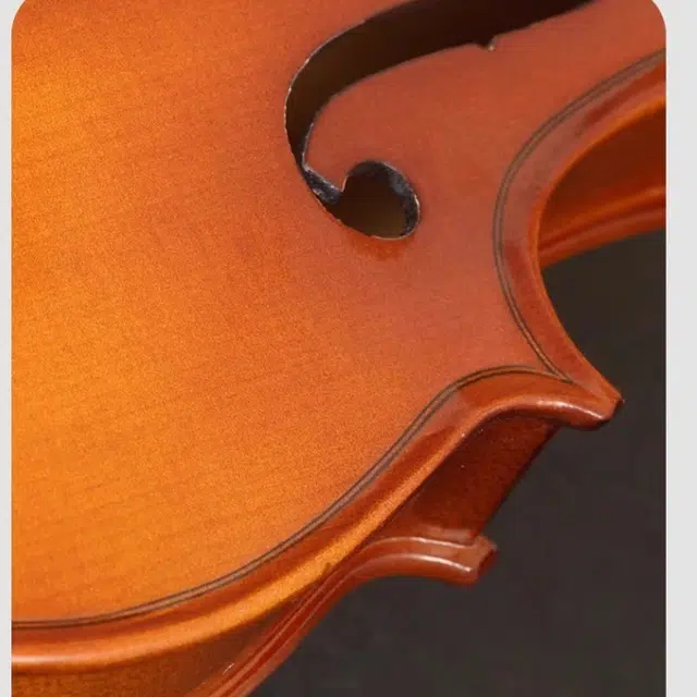(Romusic) RV-101L