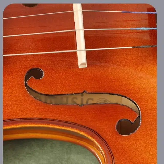 (Romusic) RV-101L