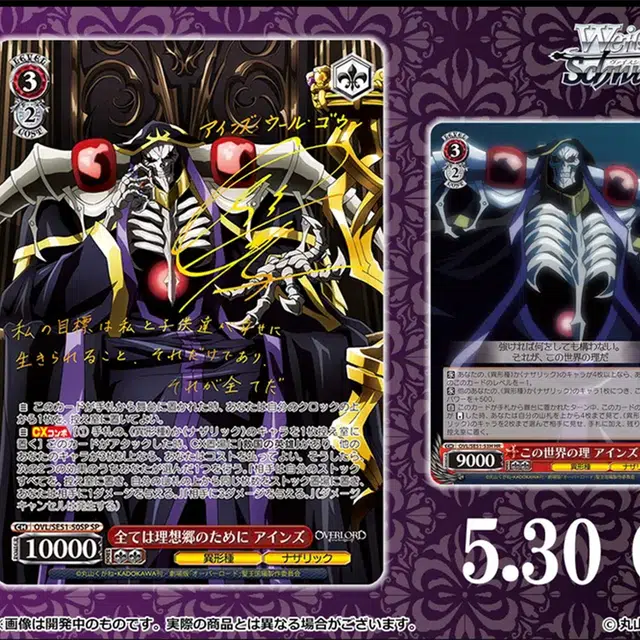 BUSHIROAD IP