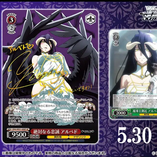 BUSHIROAD IP