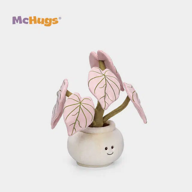 McHugs 35cm