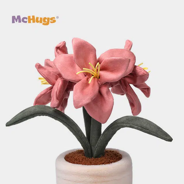 McHugs 36cm