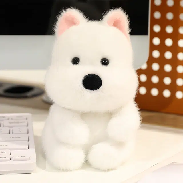 15cm