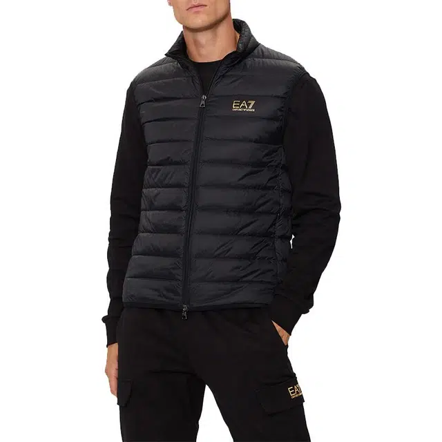 EMPORIO ARMANI EA7 FW24 Logo