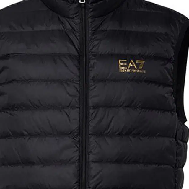 EMPORIO ARMANI EA7 FW24 Logo