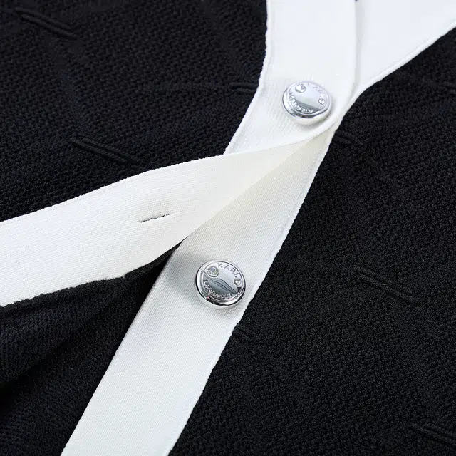 KARL LAGERFELD FW25 V