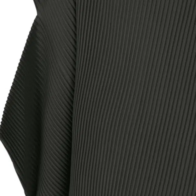 Homme Pliss Issey Miyake FW25