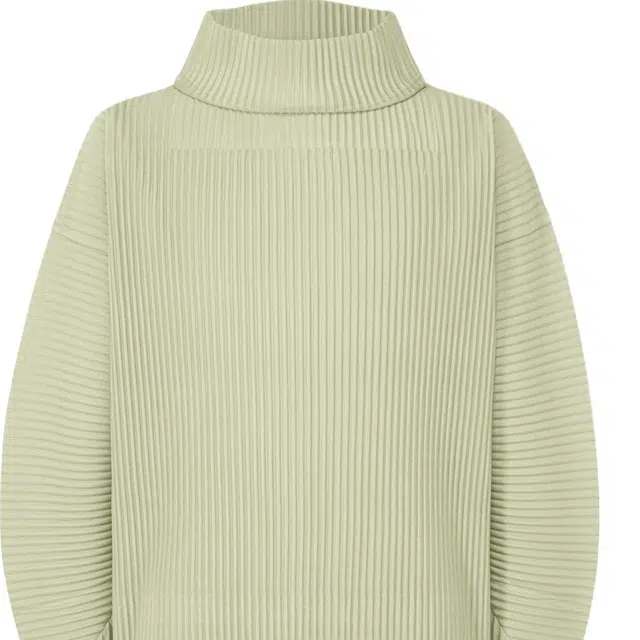 Homme Pliss Issey Miyake T