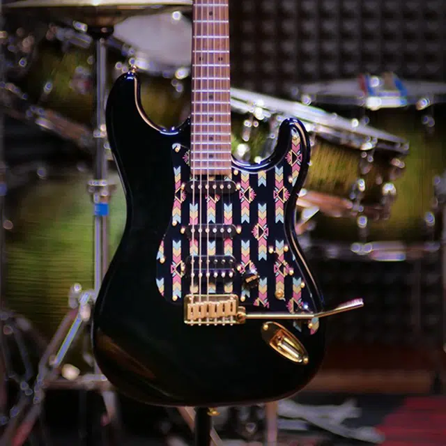 JD GUITARS ST-RM90() 22 )