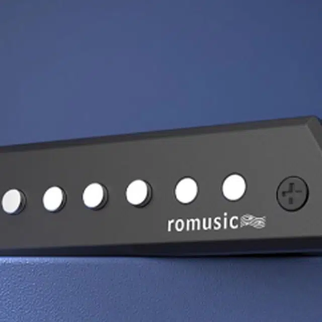 (Romusic) RP710
