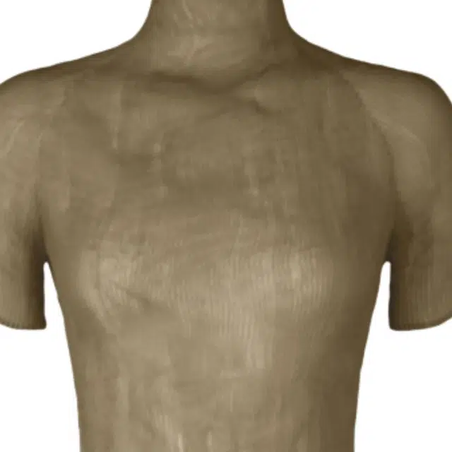 ISSEY MIYAKE T
