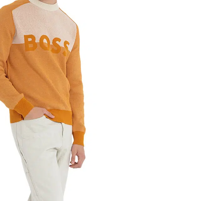 HUGO BOSS FW22 Logo