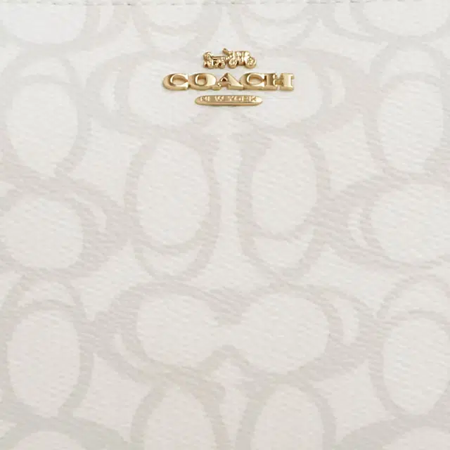 COACH Nolita 19 In Sketch