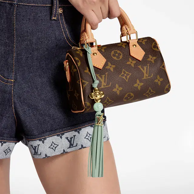 LOUIS VUITTON vivienne