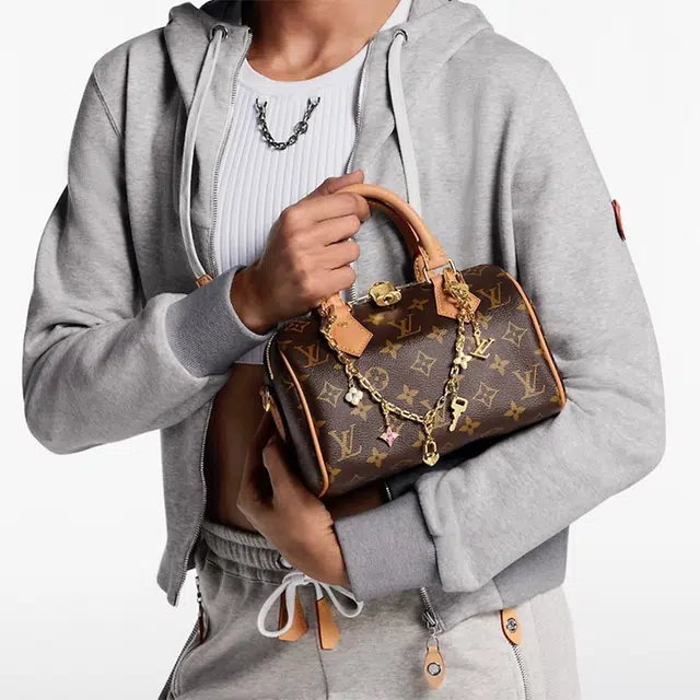 LOUIS VUITTON CHARMS