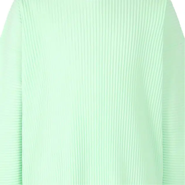 Homme Pliss Issey Miyake T