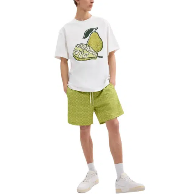 HUGO BOSS SS25 T