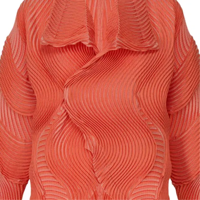 ISSEY MIYAKE FW25