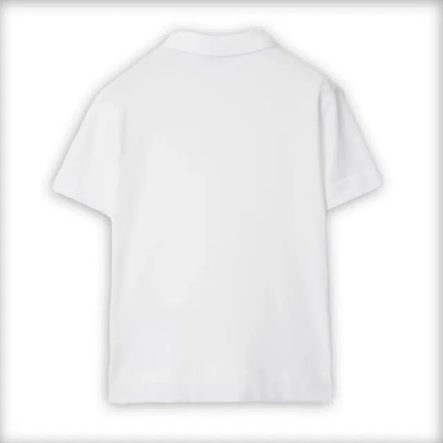 BurberryT Polo