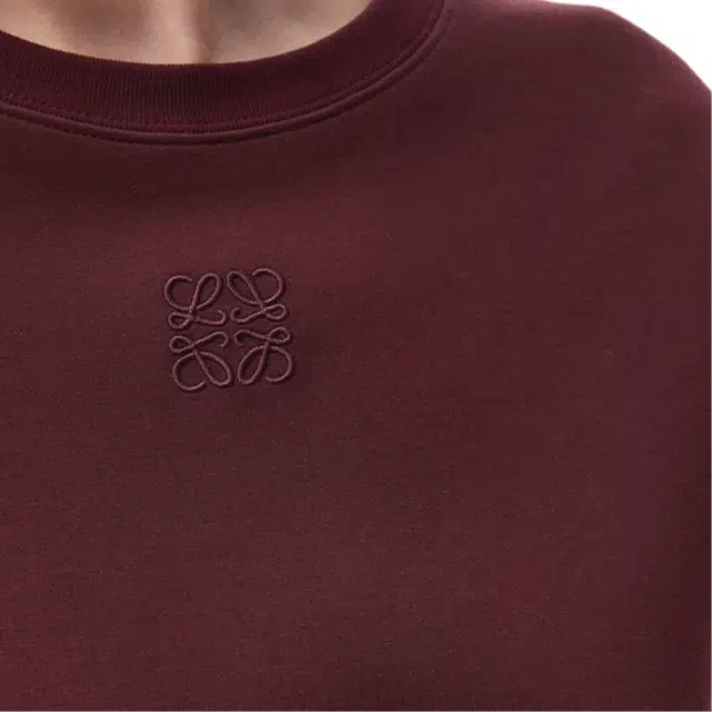 LOEWE FW25 T