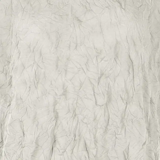 ISSEY MIYAKE T