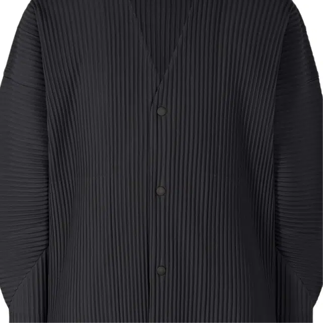Homme Pliss Issey Miyake V