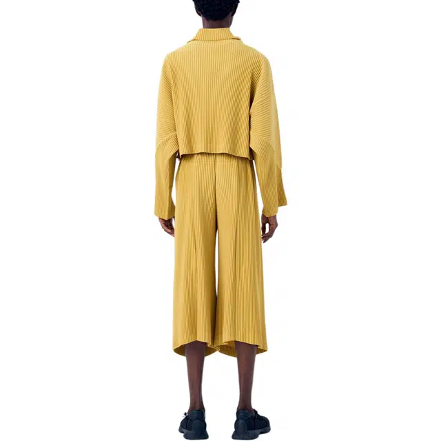 Homme Pliss Issey Miyake T
