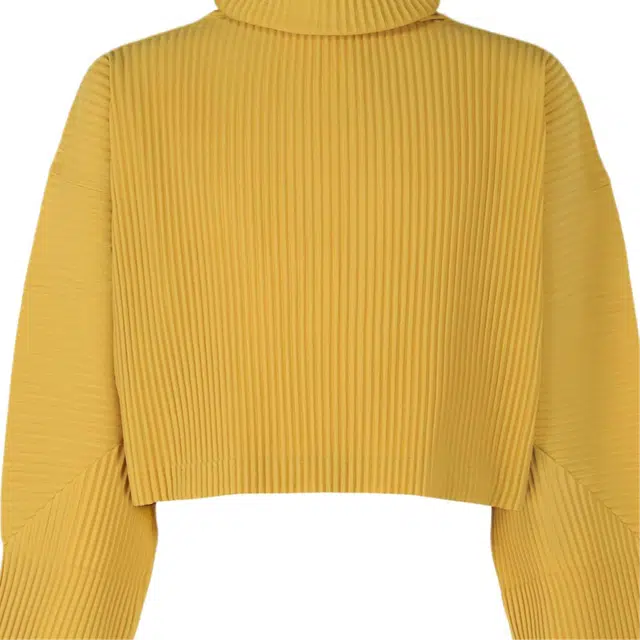Homme Pliss Issey Miyake T