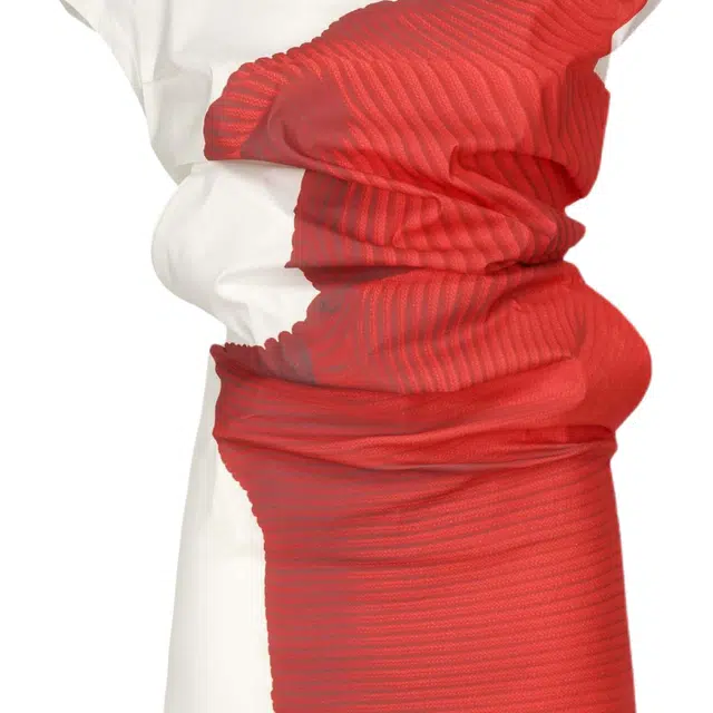 ISSEY MIYAKE FW25