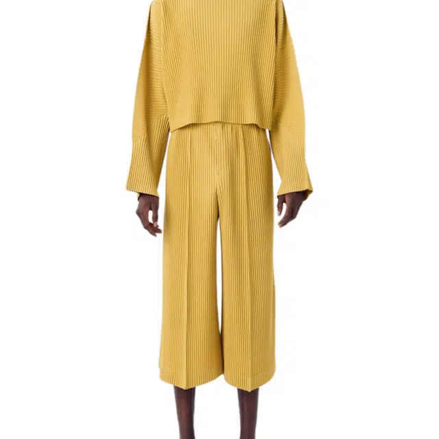 Homme Pliss Issey Miyake