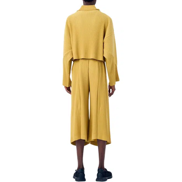 Homme Pliss Issey Miyake