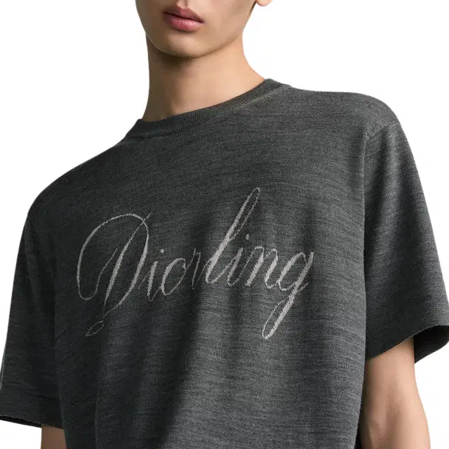 DIOR FW25 T