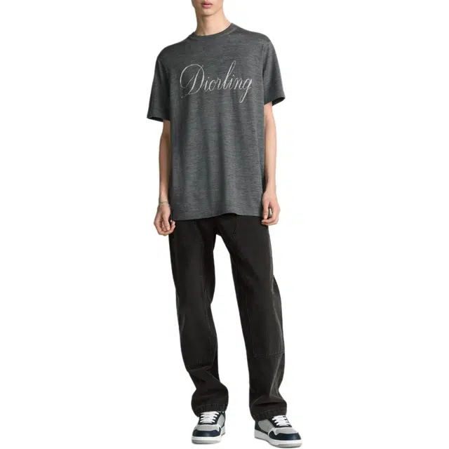 DIOR FW25 T
