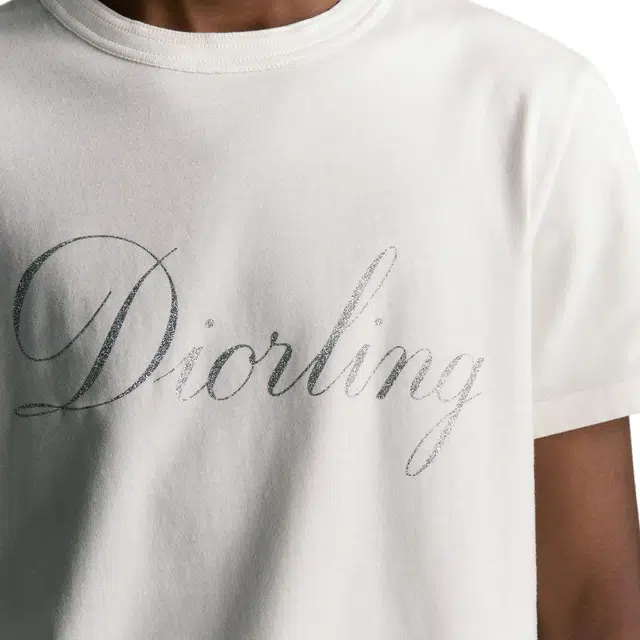 DIOR FW25 T