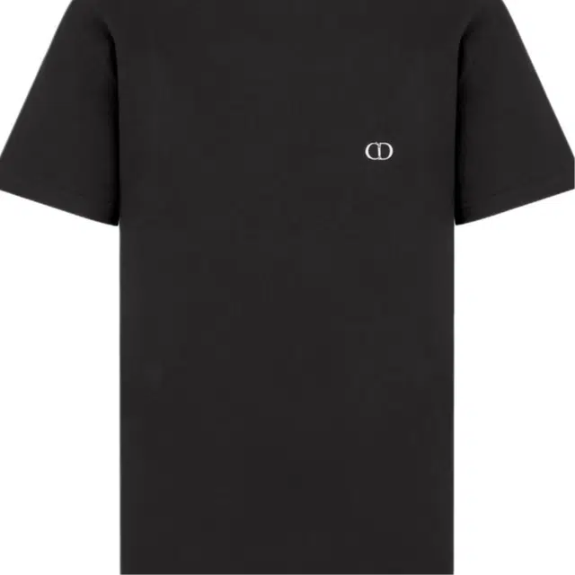 DIOR FW25 T