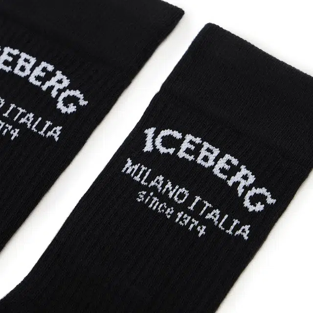 iceberg