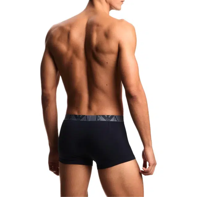 EMPORIO ARMANI EA 3