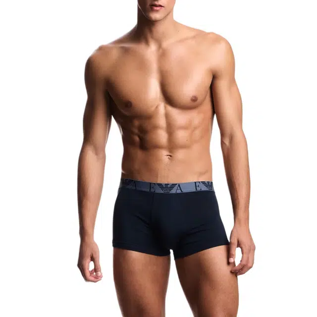 EMPORIO ARMANI EA 3