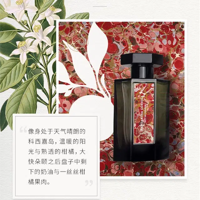EDP 100ml