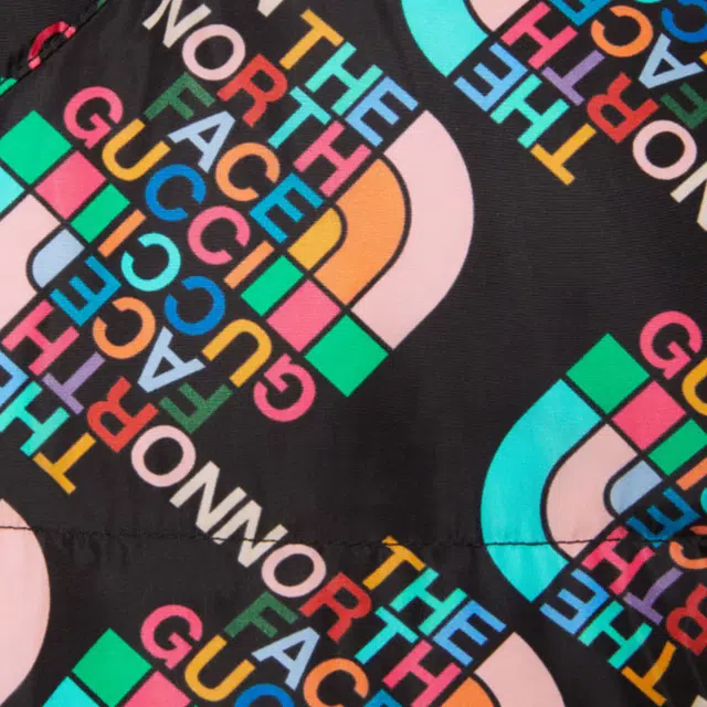GUCCI x THE NORTH FACE FW22 Logo