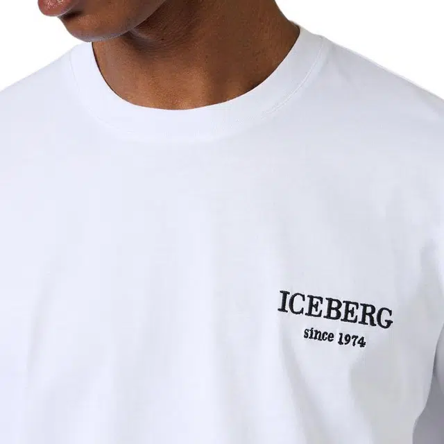 iceberg T
