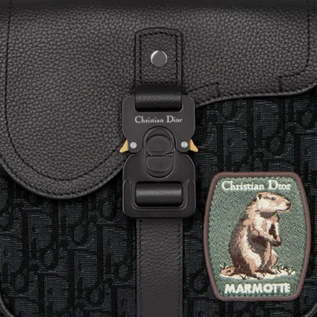 DIOR SaddleOBLIQUE