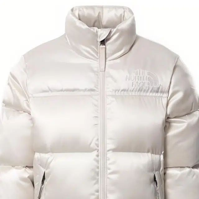 THE NORTH FACE PRNT 96 NUPTSE JKT