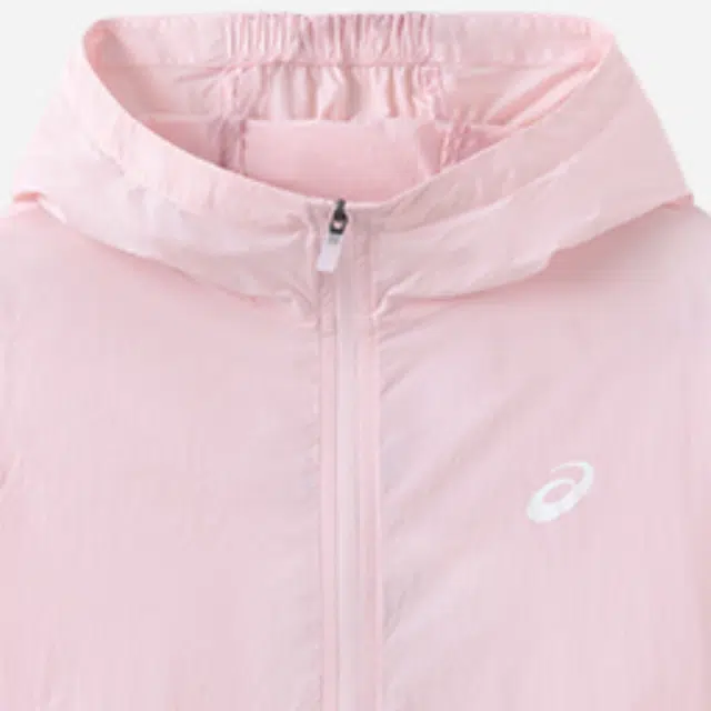 Asics logo