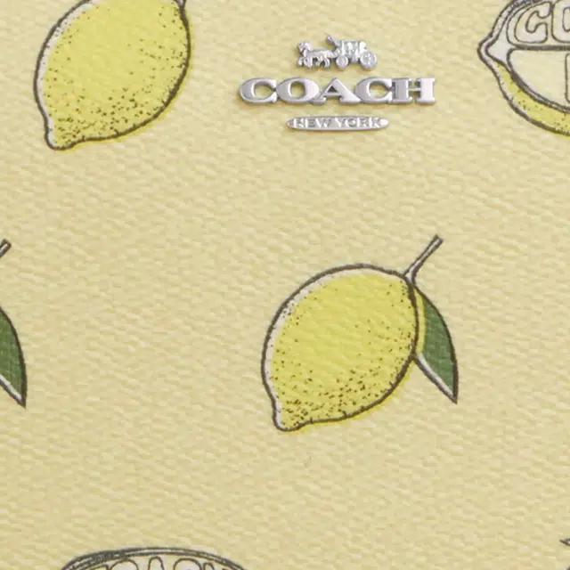 COACH Nolita 19