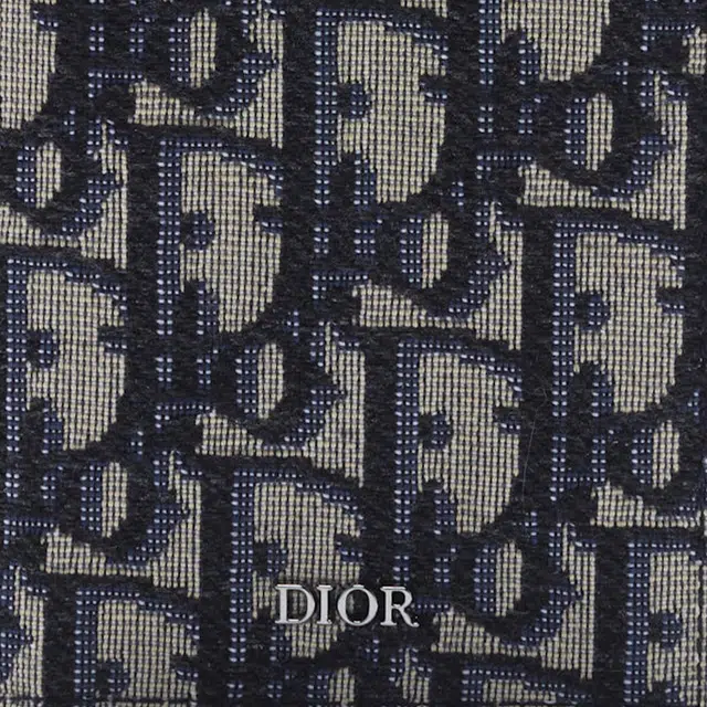 DIOR OBLIQUE Logo