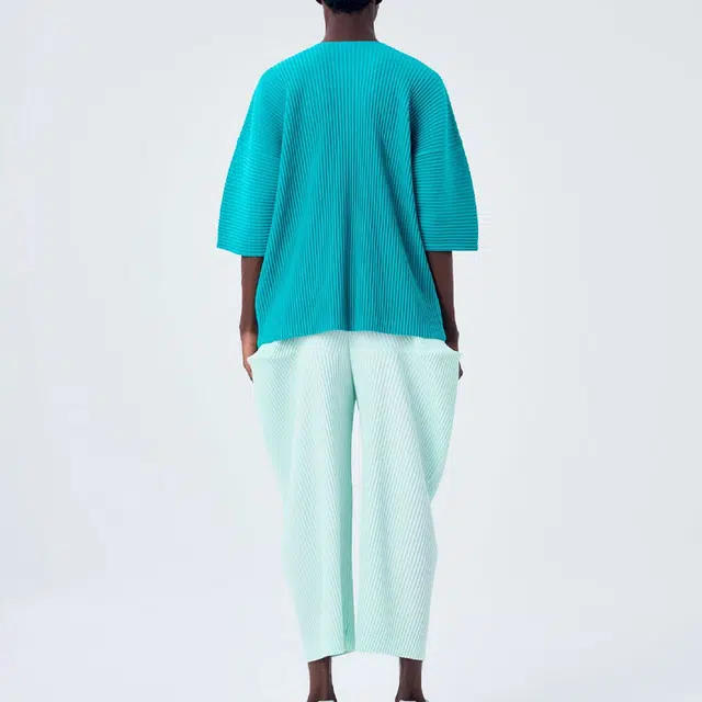 Homme Pliss Issey Miyake T