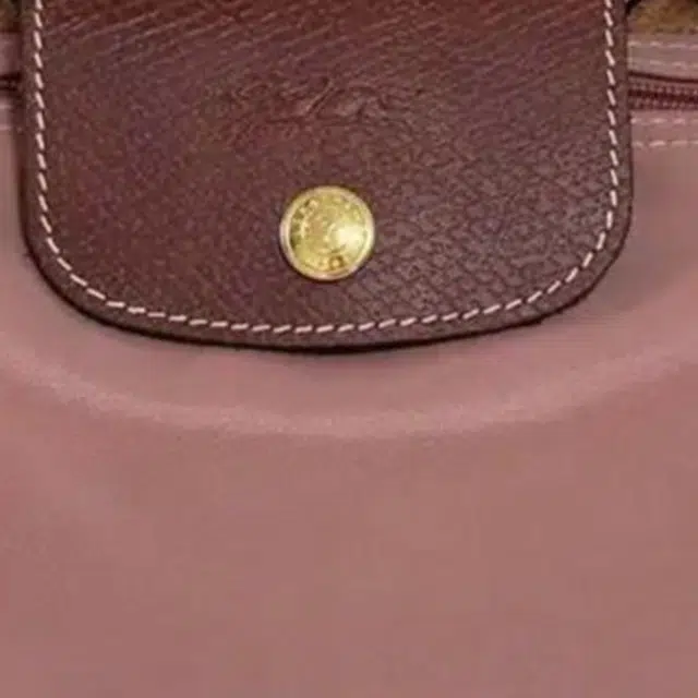 LONGCHAMP Le Pliage 17 Logo