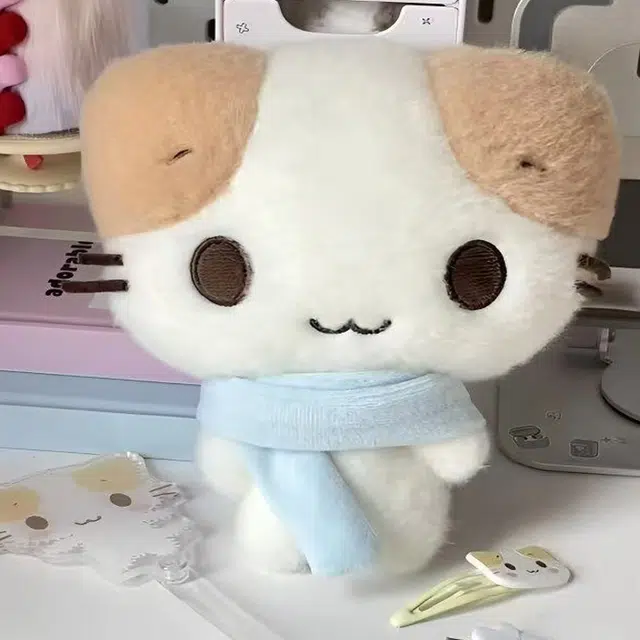 18cm30cm